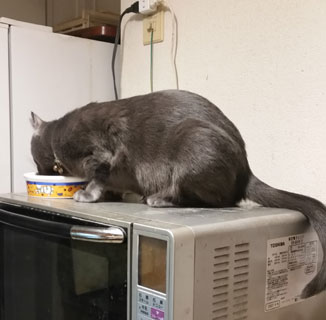 サイズ変更ウィザード-8.jpg