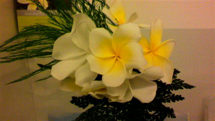 2010122623100000.jpg