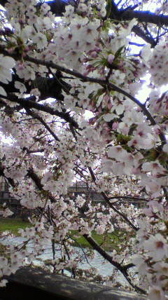 2011040915590001.jpg