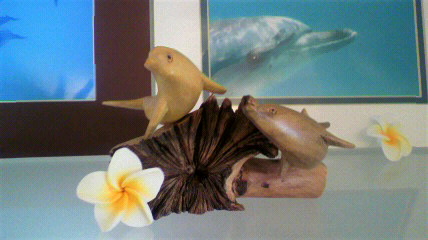 2011042008250000.jpg