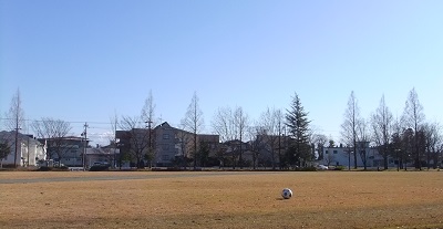 公園のボール
