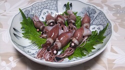 ホタルイカ