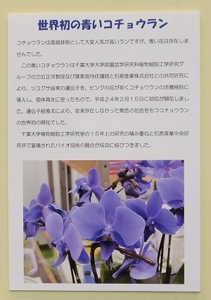 説明