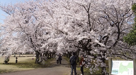 花のプロムナード