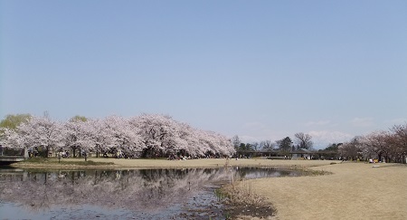 広場