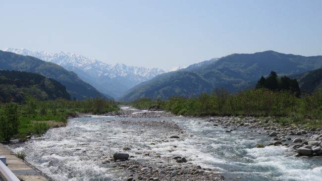 IMG_6257.JPG