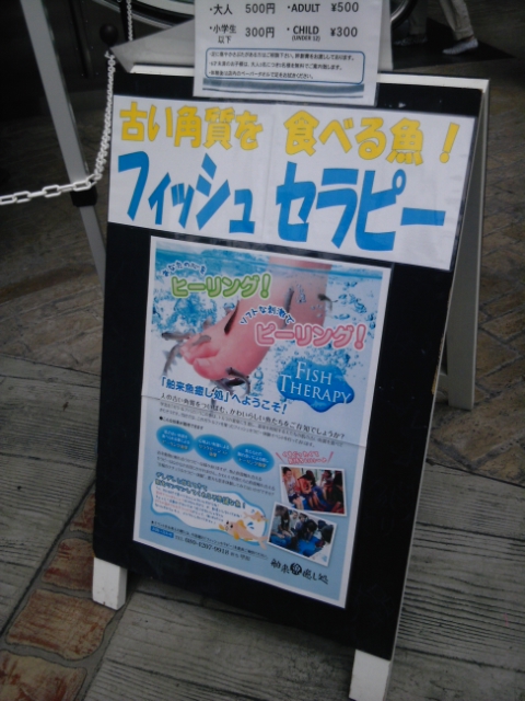 DVC00157.jpg