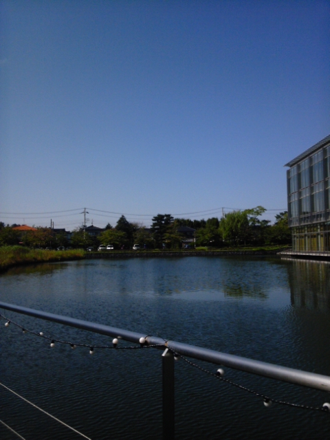 DVC00279.jpg