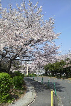 20130404