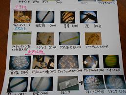 20130909