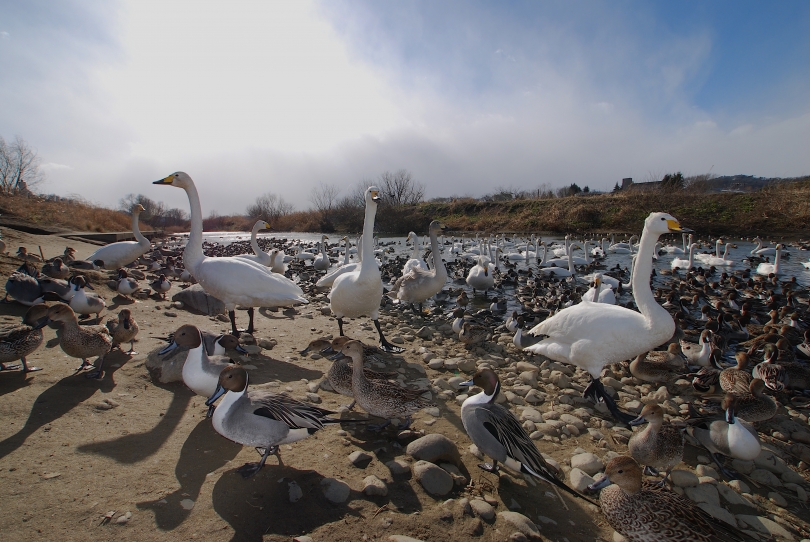DSC_0031.JPG