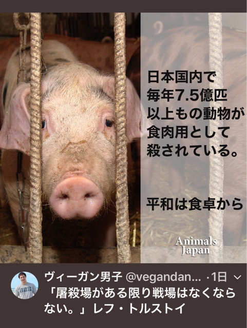 iPhoneImage.png
