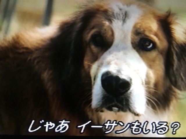 iPhoneImage.png