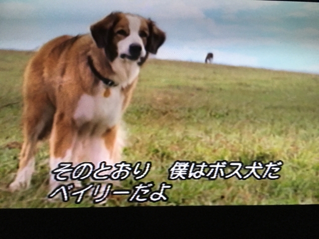 iPhoneImage.png