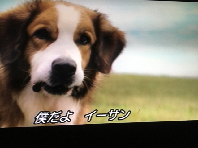 iPhoneImage.png