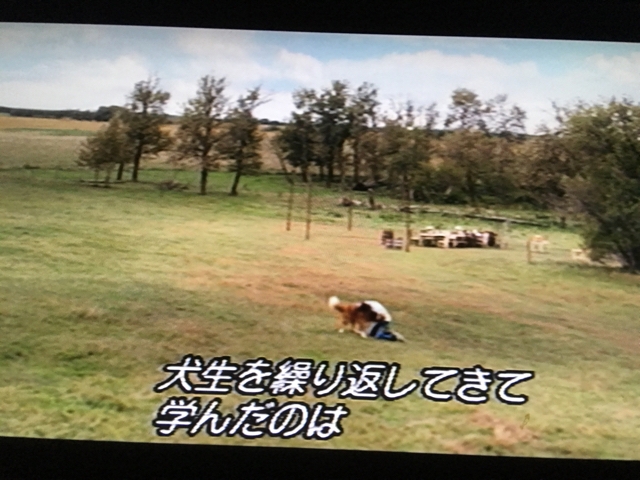 iPhoneImage.png