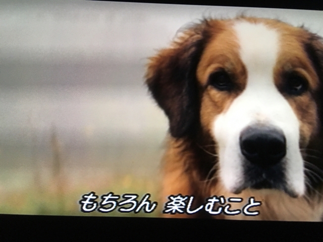 iPhoneImage.png