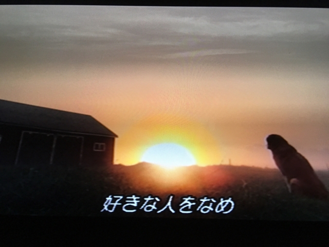 iPhoneImage.png