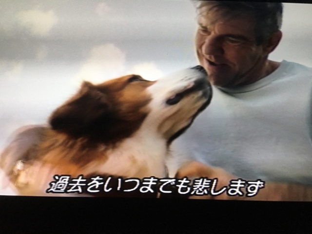 iPhoneImage.png