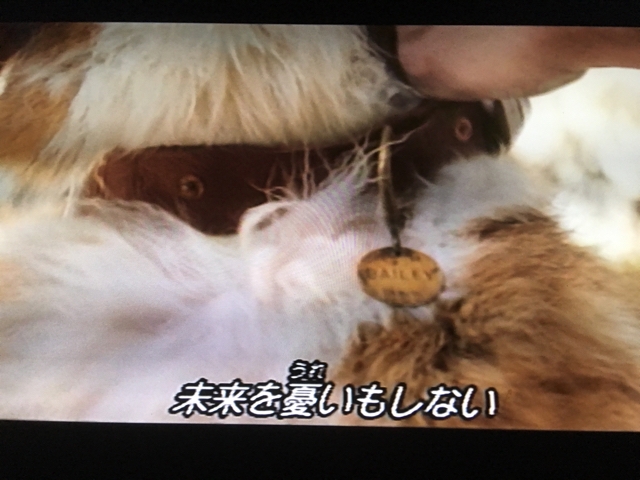 iPhoneImage.png