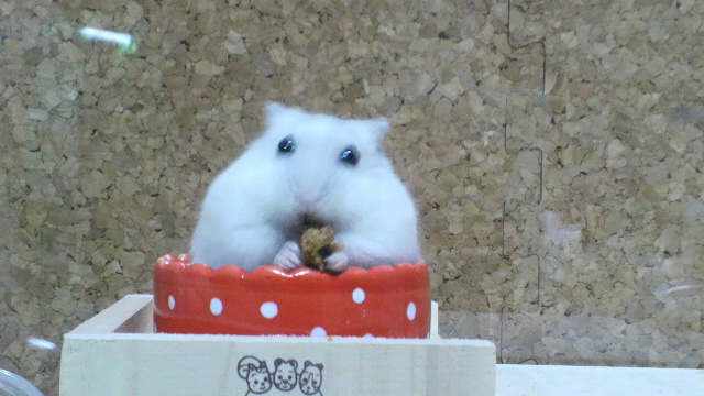 2012032709140000.jpg