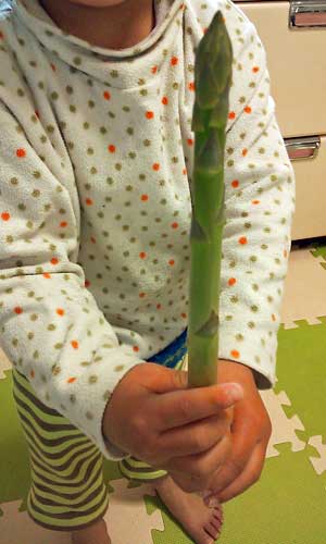 イチゴ菜園