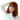 o0020002011393986015.gif