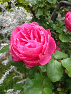 image02.jpg