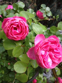 image03.jpg