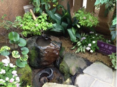 image06.jpg