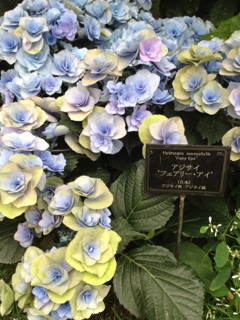 image07.jpg