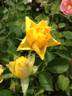image08.jpg