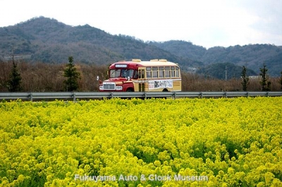 道の駅 笠岡ベイファームの菜の花畑沿いに国道2号線バイパスを行く高梁市のボンネットバス・トヨタDB100【クリックで大きく表示】