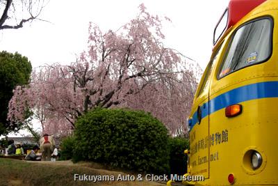 4月7日、名古屋市名東区社台二丁目・上社西部第一公園の枝垂桜とボンネットバス・日野BA14