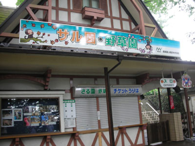 サル山