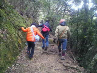 201101241230000.jpg