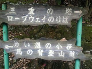 201101241231000.jpg