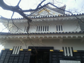 201101241331000.jpg