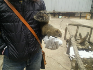 201101241442001.jpg