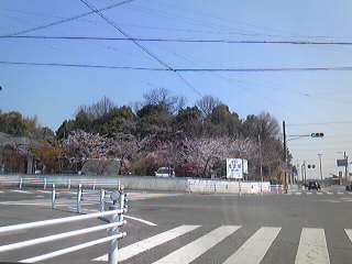110406_1230371.jpg