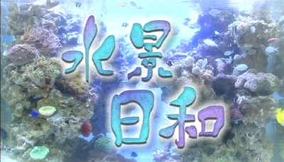 水景日和top