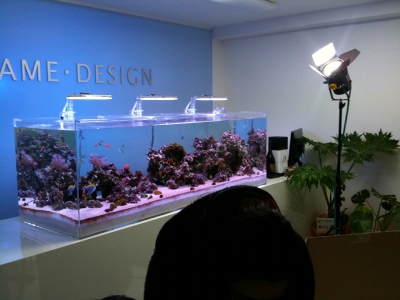 マメデザイン横浜ショールーム_テレビ朝日撮影1
