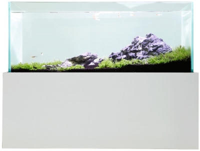 mame-cabinet4520