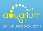 アクアリウムフェア2013in赤坂サカス
