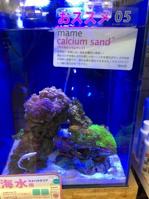 最強ろ過水槽マメサンプ！！ inアイランドやまがみ北野店 | マメ