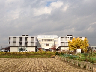 iPhoneImage.png