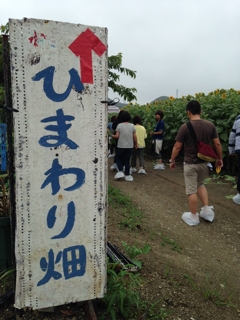 iPhoneImage.png