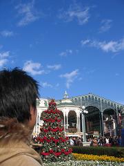 20061210-3