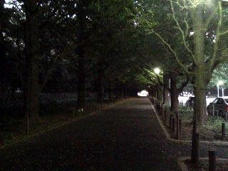 GaienPopuraNamiki