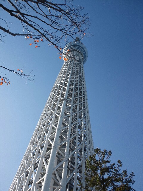 DSC_0476~01.jpg